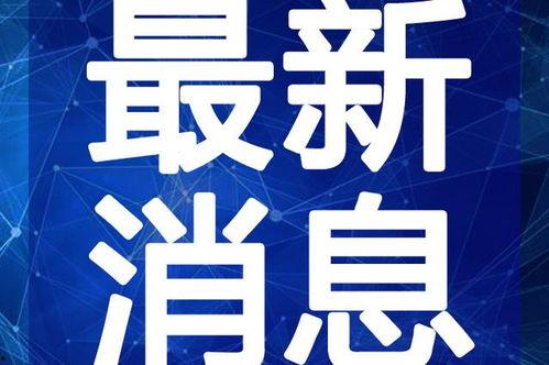 环球华人爆料视频大全最新,最新视频大全揭秘热点事件